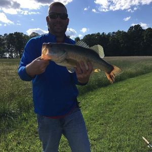 Meet your Posher, Brandon